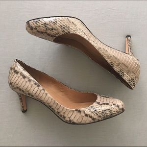 COPY - Ann Taylor snakeskin kitten heels 7.5